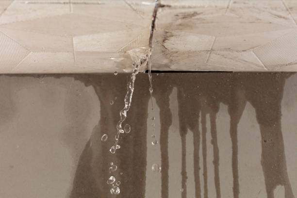 Professional Structural Drying technician working in Wasco, IL